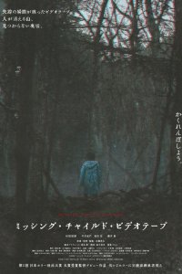  Видеозапись исчезновения ребёнка 